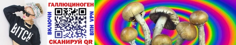 Псилоцибиновые грибы MAGIC MUSHROOMS где найти Зима