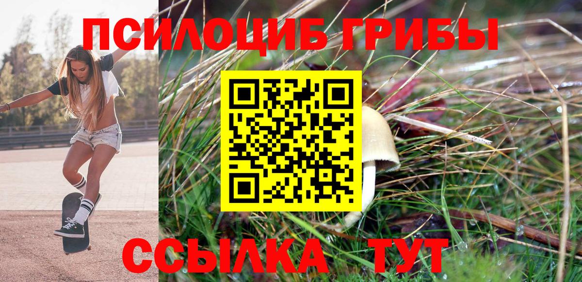 Зима  Галлюциногенные грибы MAGIC MUSHROOMS  Вход с VPN 