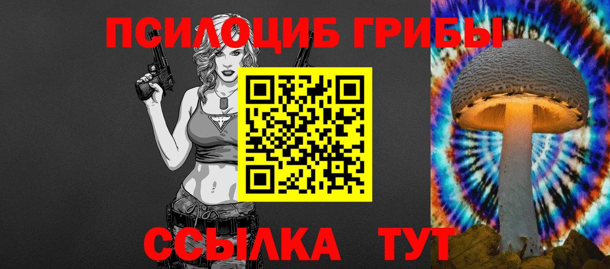Галлюциногенные грибы прущие грибы Зима